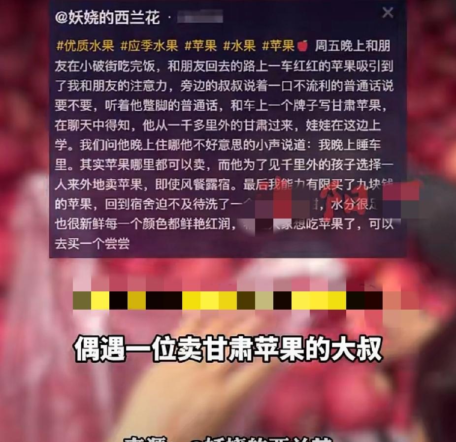 他开车1000公里从甘肃到郑州卖苹果，晚上住在车里，只为看孩子一眼！11月10日