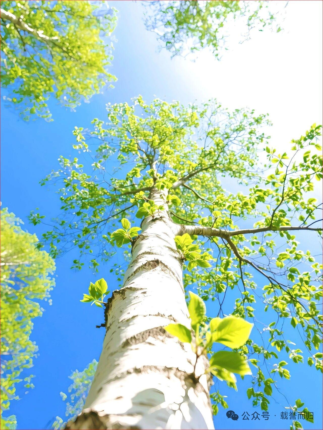 天蝎座女生大部分都是御姐，不过甜妹类的御姐也很多。天蝎女大部分都是大眼睛，高