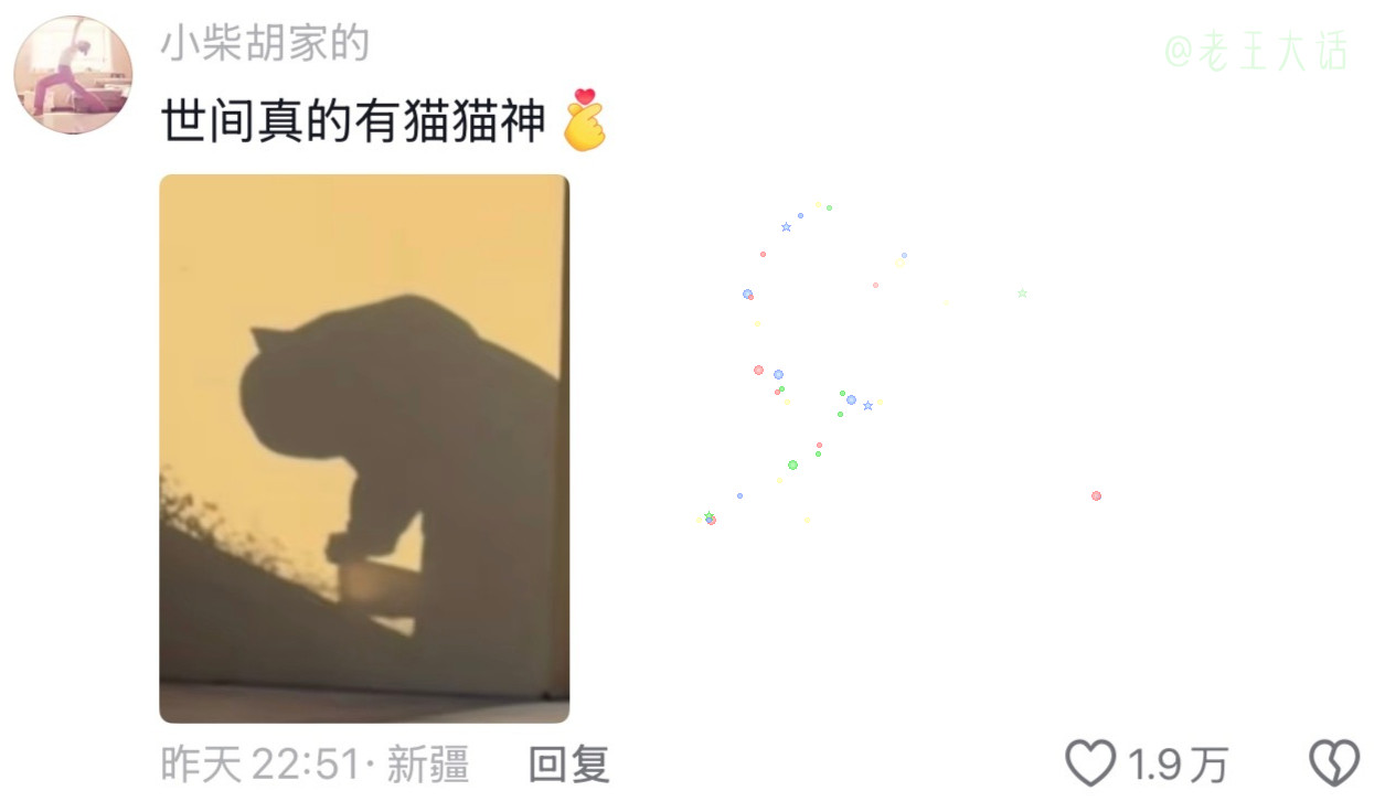 猫猫大王发猫猫饭🐈
