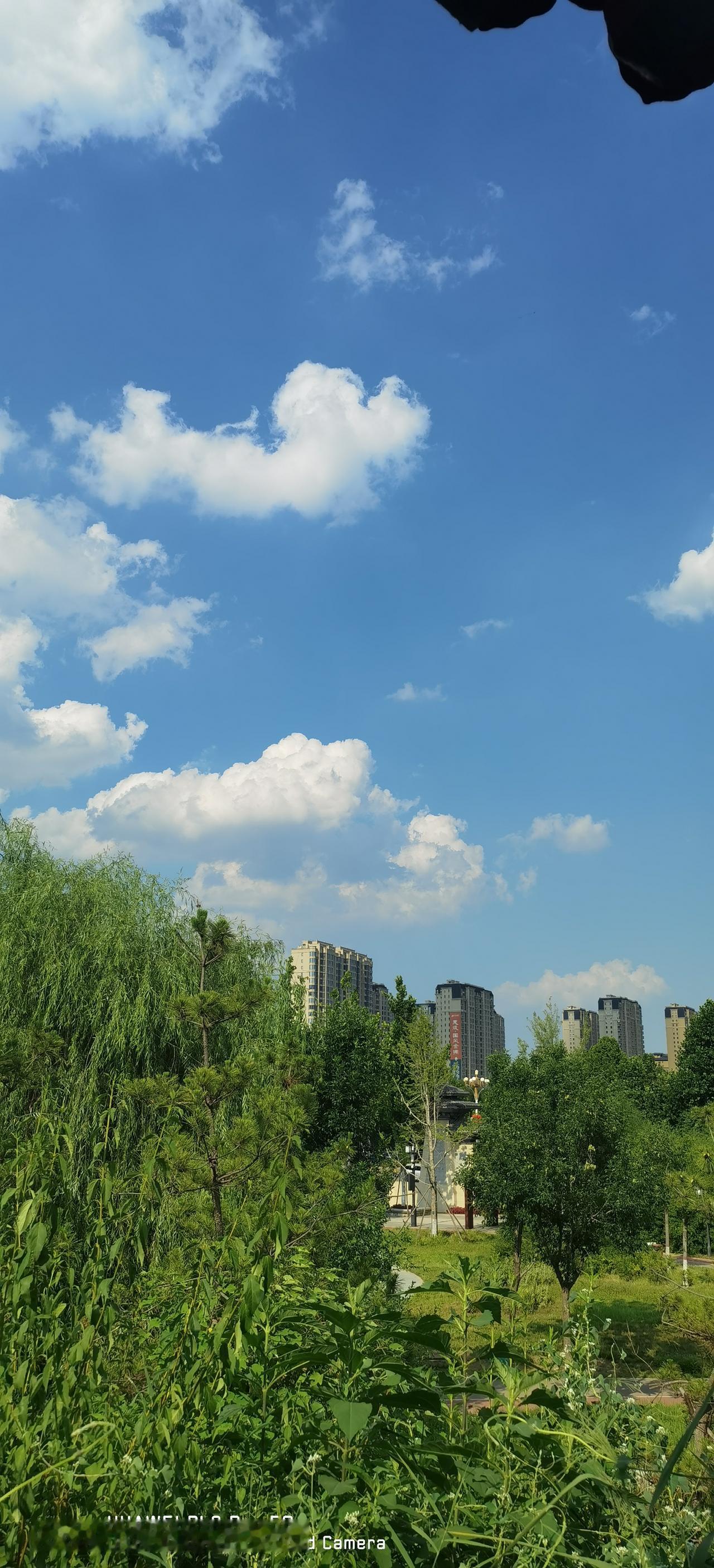 本来不想聊养老金这个话题，但前几日看了一位大V博主的内容，是在盛赞某教授提出的“