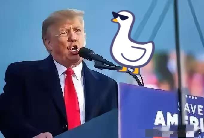 快报！​​中国突然宣布了。​​今天上午在北京，中国有关部门对外说，对参与向台