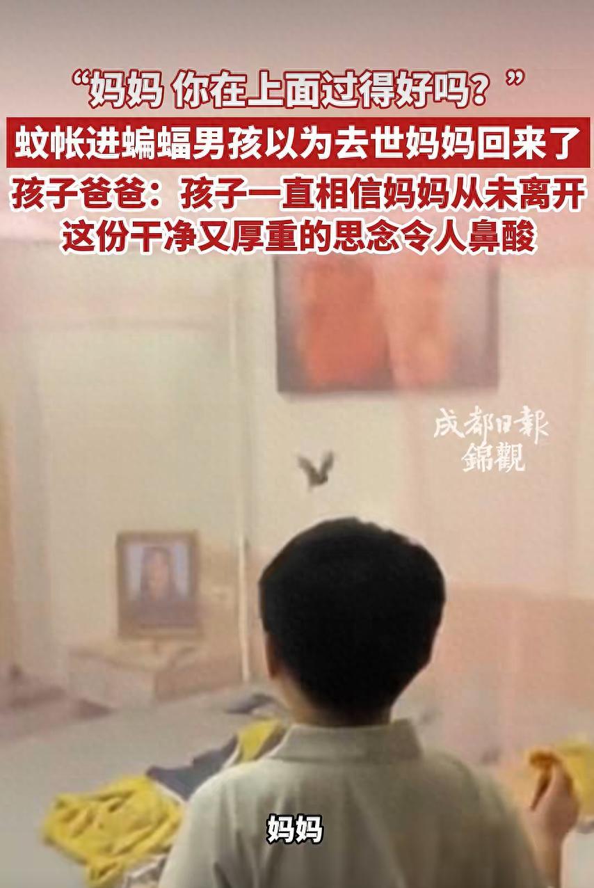 这一幕，连科学都解释不了！7月12日河南都市频道报道，广东，一男孩妈妈生病走了整