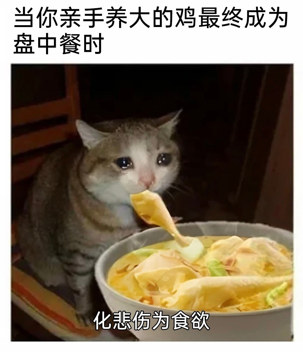 真香memes​​​
