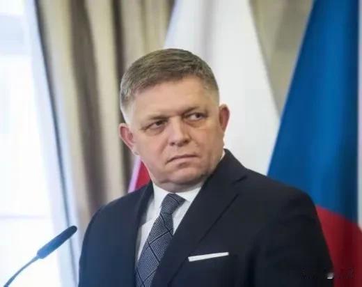 反对党将以叛国罪起诉菲佐！DennikN报道，斯洛伐克议会反对党自由与团结