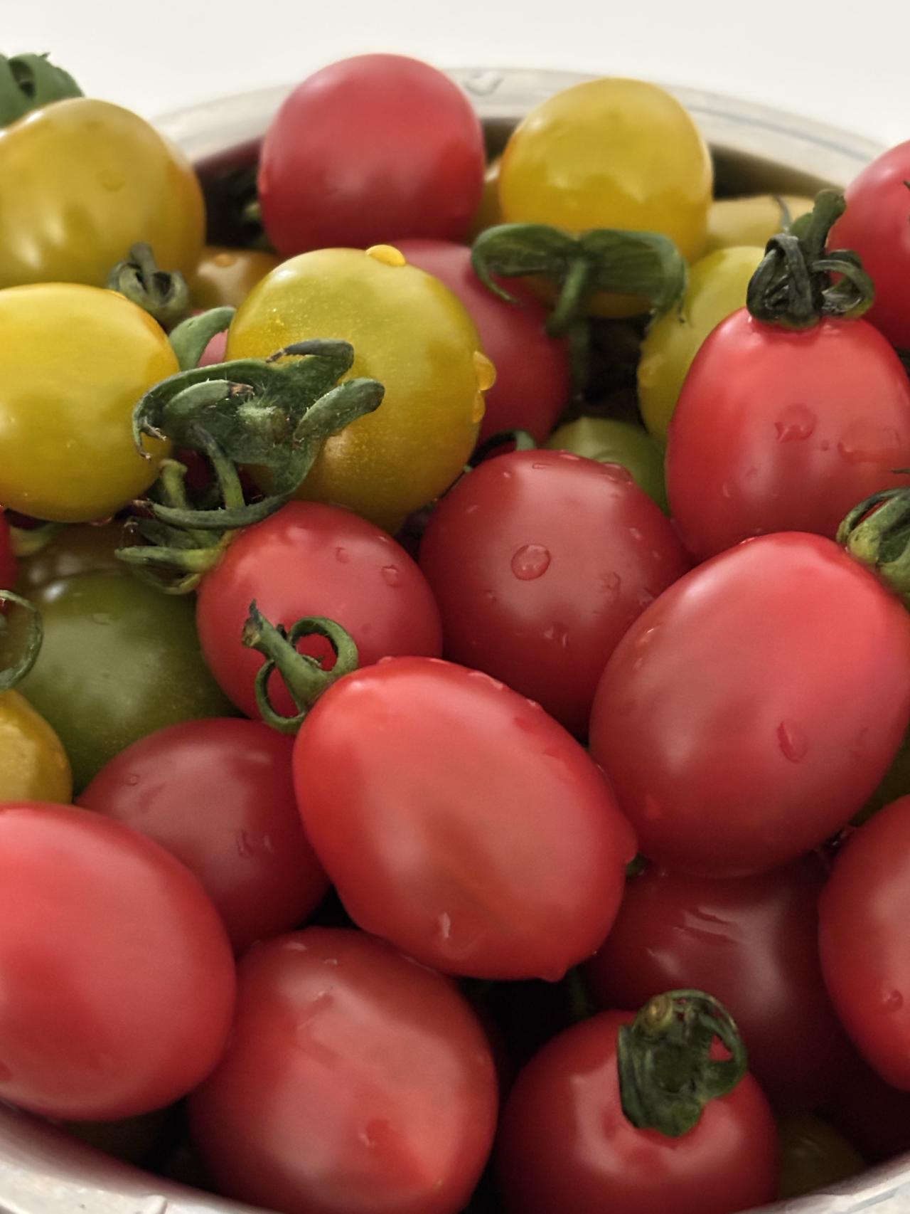 最近有点感冒，家里人一直催我吃药。我一直顶着强大的压力，没有吃药。感冒是一种