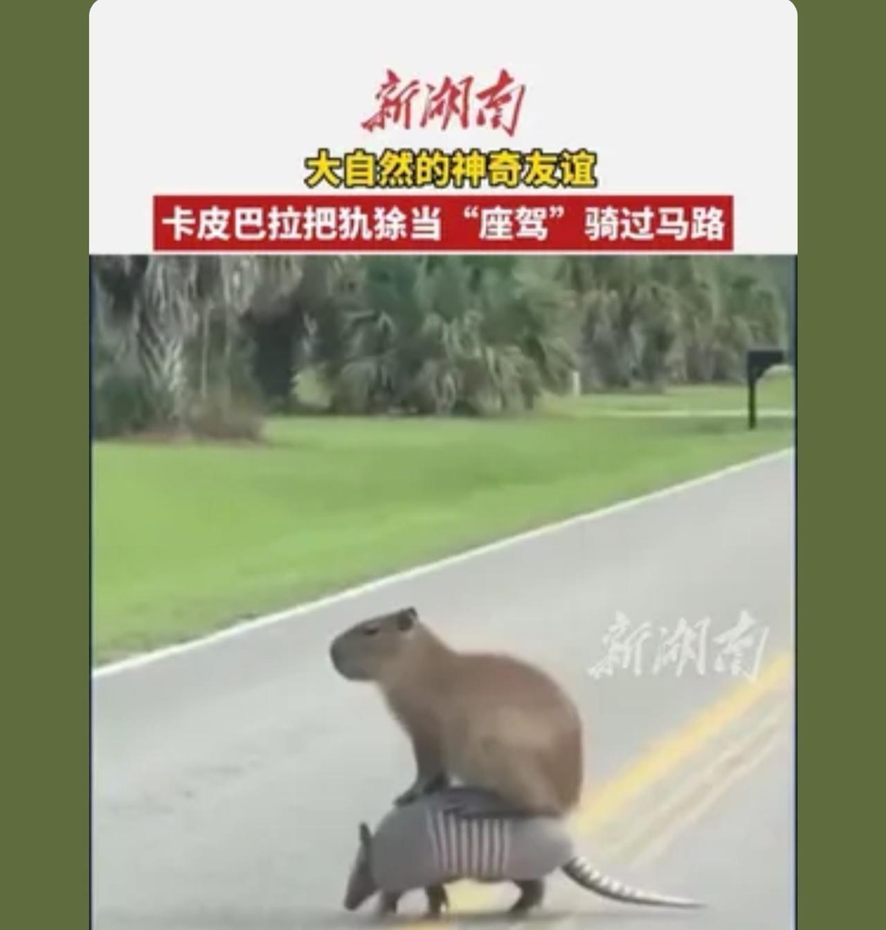 看到这个我想起一句话，当你觉得负重前行的时候，就一定有狗东西在你上面享福犰狳