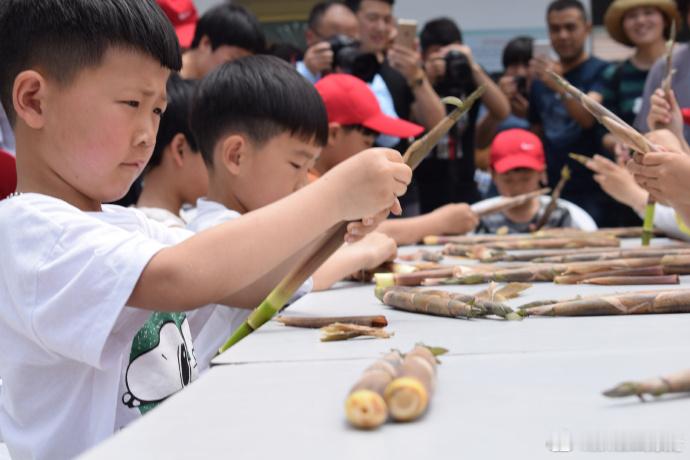 台州小笋打破季节限制让村民常年有钱赚500亩高山竹林，以前只能“吃一季、愁半年