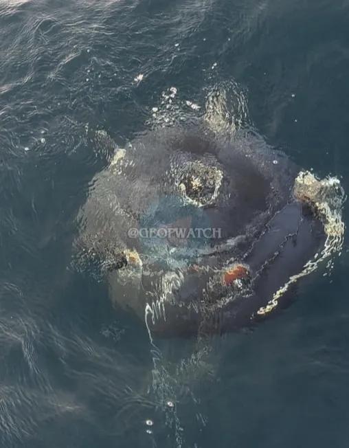 伊朗伊斯兰革命卫队海军在霍尔木兹海峡附近布设的1枚锚雷失控，飘到了阿曼海岸线附近