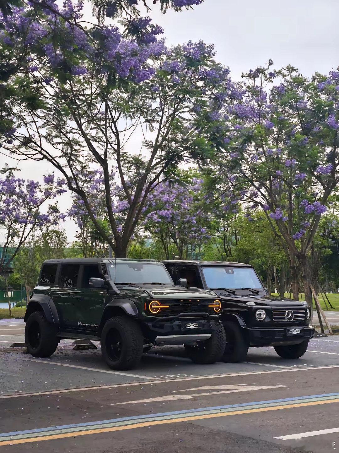 单论外形，感觉烈马比大G还漂亮。特别是那个复古绿的车身和金色的大灯，你们觉得谁好