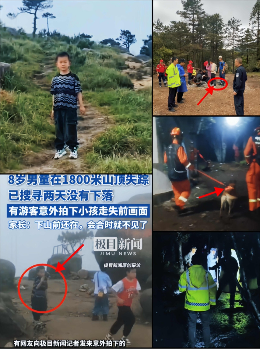 莆田8岁男童失踪第2天！昨天无意中刷到一个博主！说靠占卜算出孩子在东北方