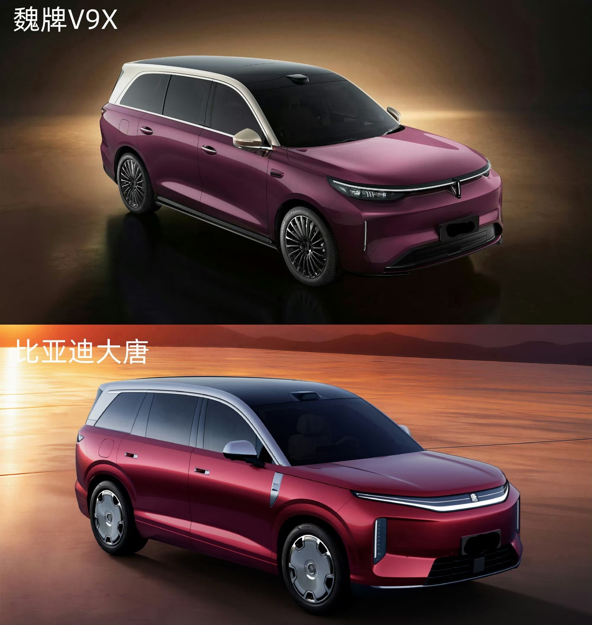 比亚迪大唐和魏牌V9X风格高度相似，都是端庄大气挂的，两台都很有旗舰样，大伙觉得