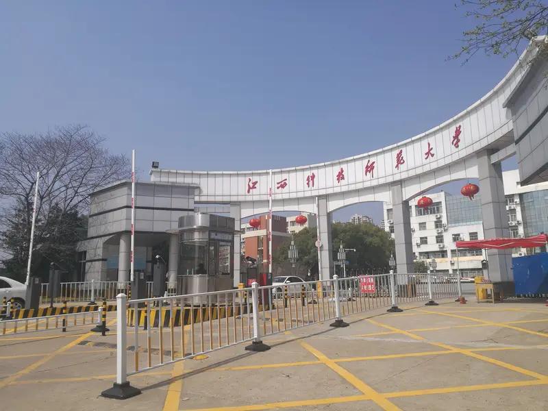 文科生，590分怎么报考，590——600分财经类：东北财经大学