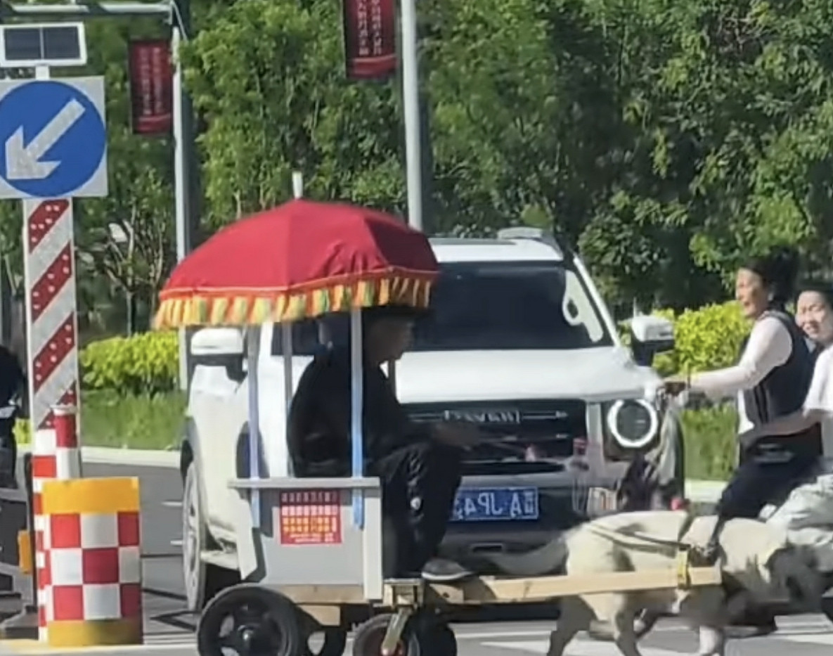 哈佛大狗，四驱！