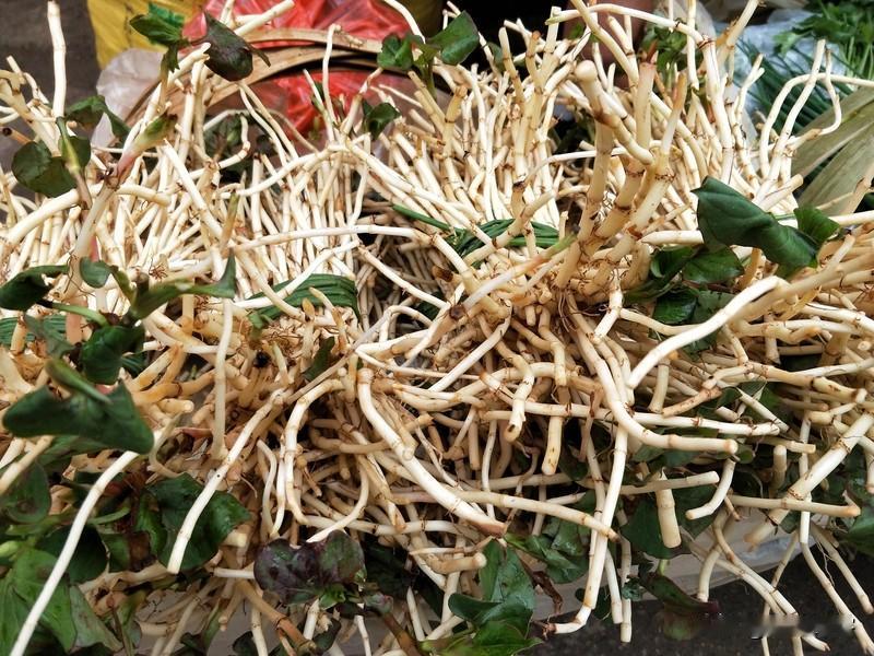 鱼腥草（折耳根）、香椿、米树叶（制神仙豆腐）、榆树嫩叶、槐花、栀子花、桂花、百合