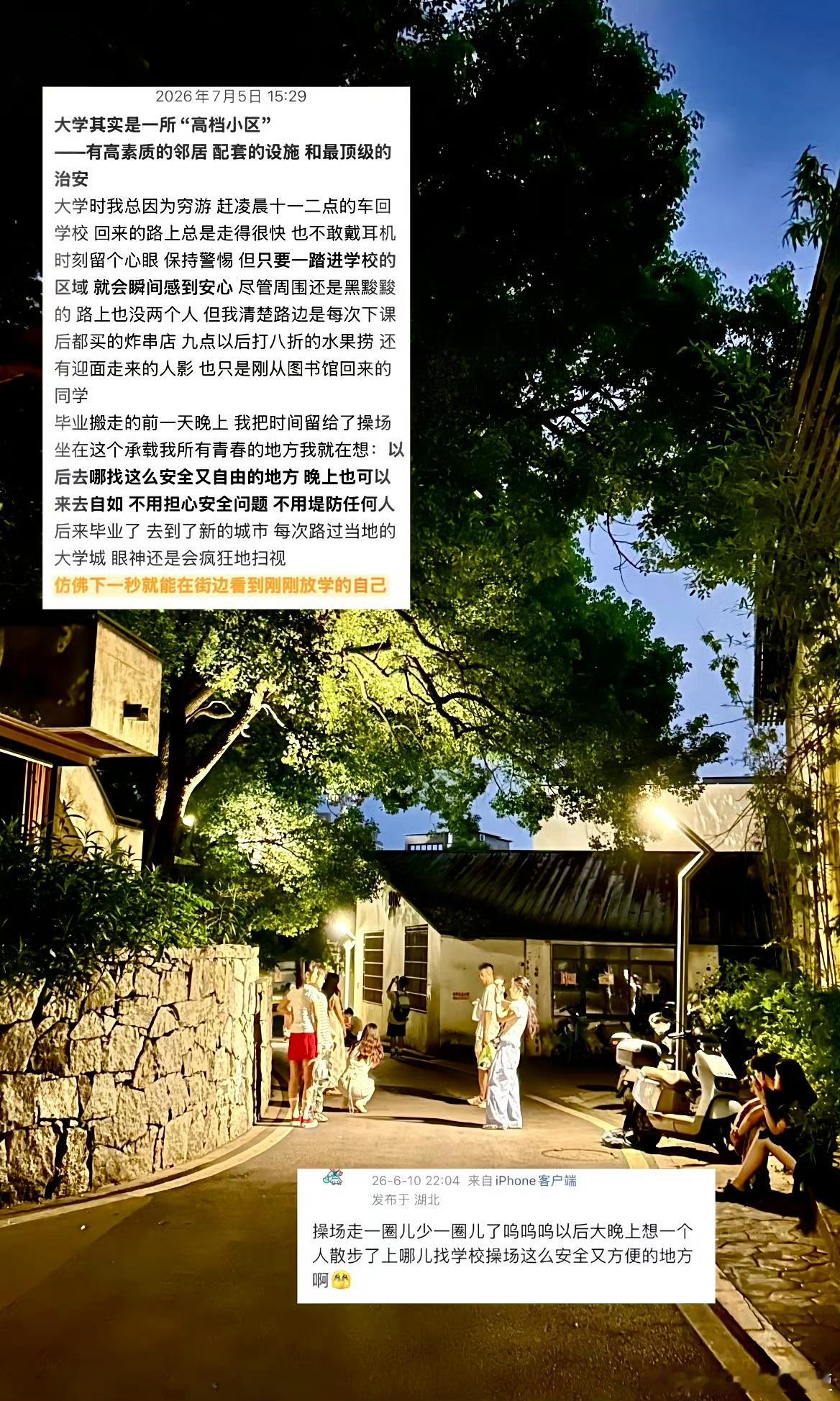 后知后觉大学其实是一所“高档小区”🥹