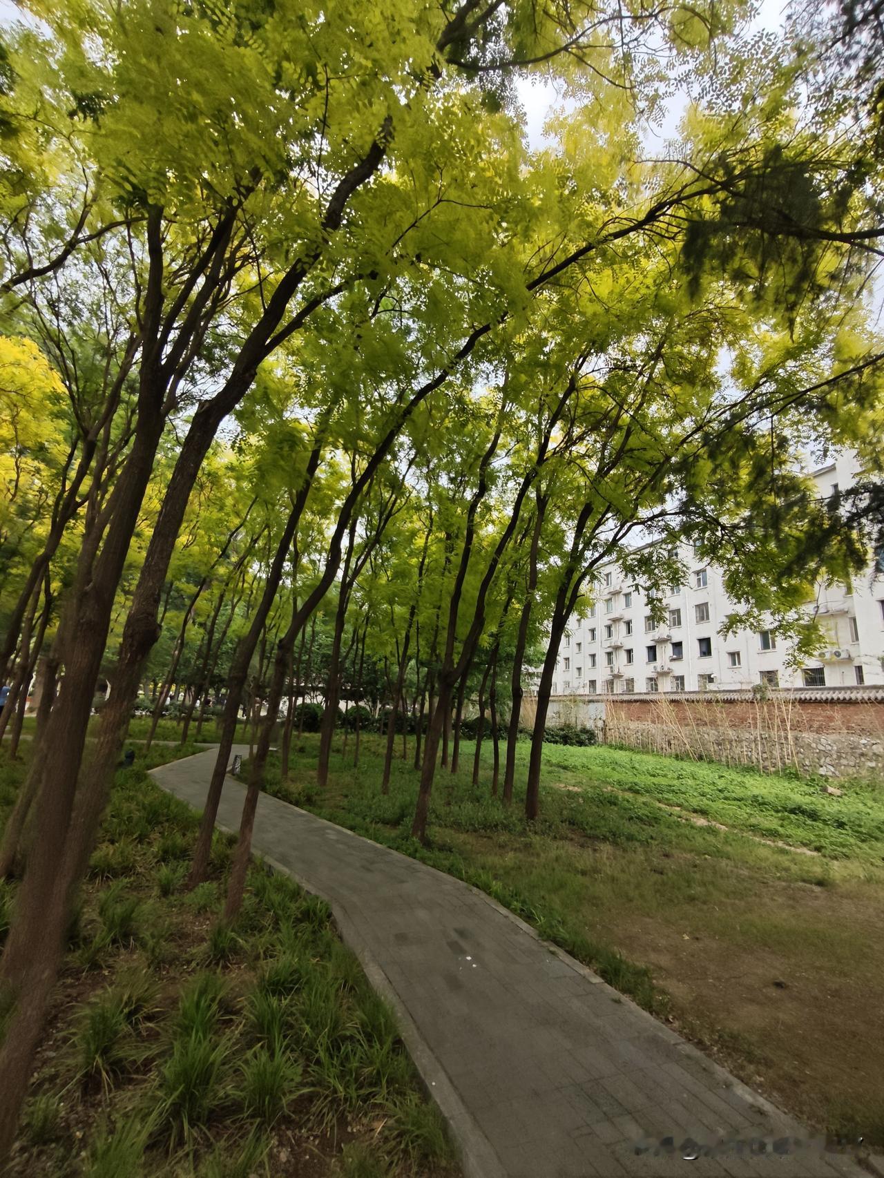 是不是有了第三代，人生就戴上了枷锁！对于5月份的旅行，孩子爸在饭桌上随口邀请