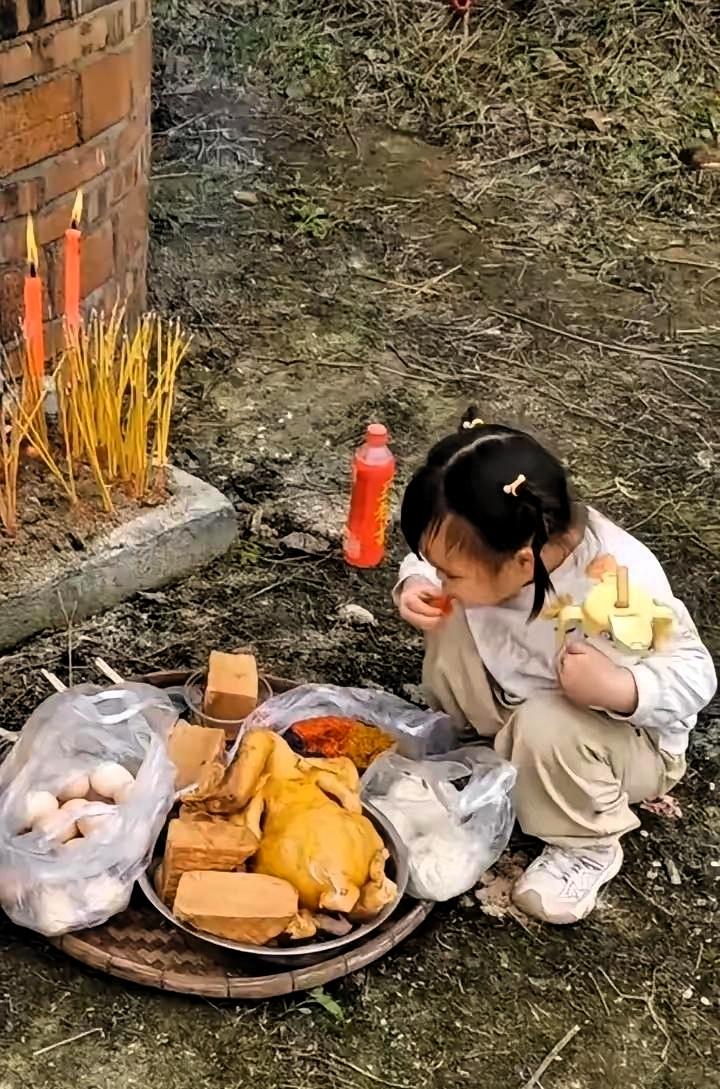 震惊！广东某坟头突发“抢劫案”——老祖宗尚未动筷，供品惨遭三岁幼崽洗劫。妈妈