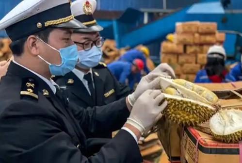 “赚中国人钱还拿致癌物糊弄人？可谁能料到，泰国榴莲这事越查水越深，不光藏着伤肾的