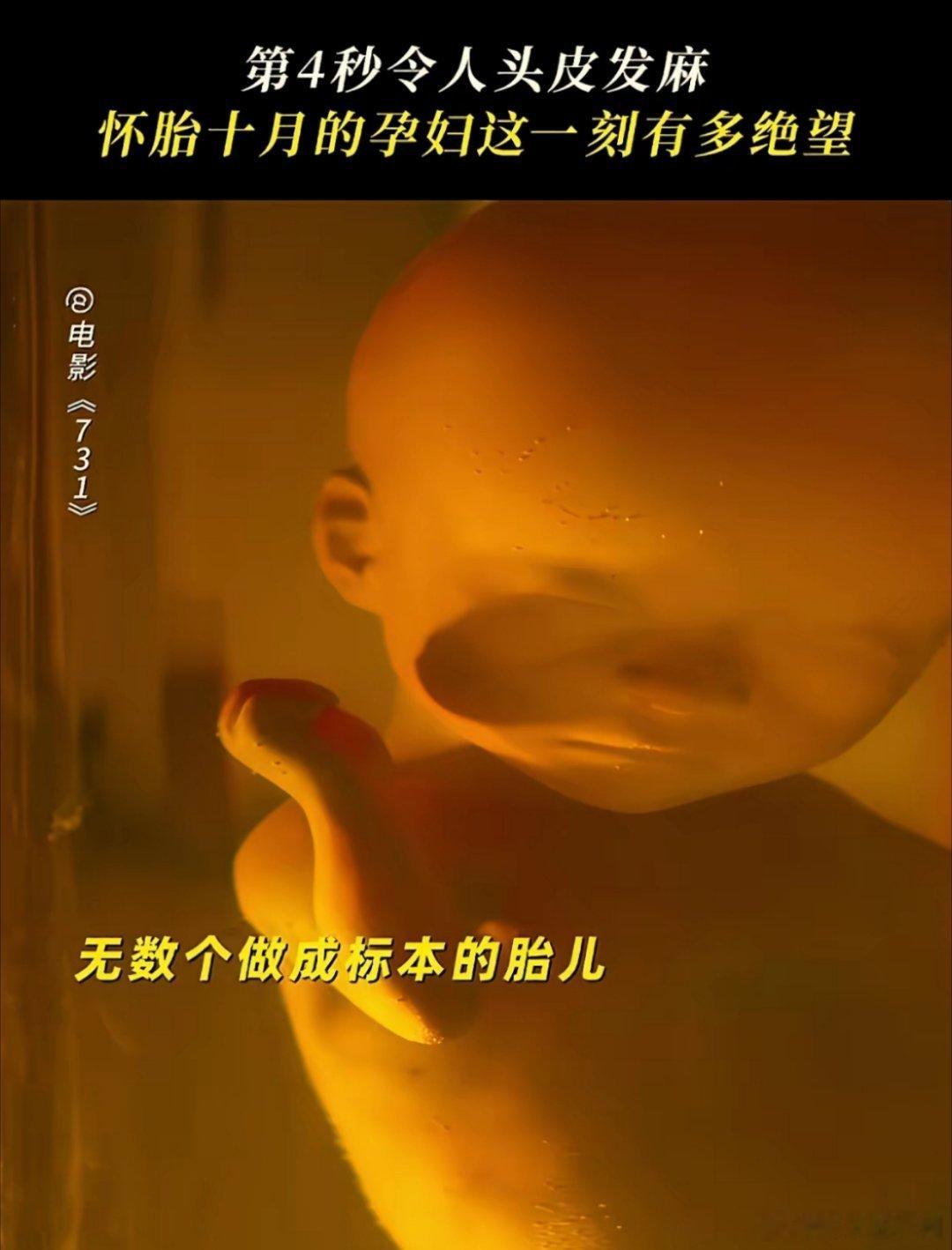 731观后感刚看完《731》电影，警告大家，看《731》电影不能和女朋友两个人去