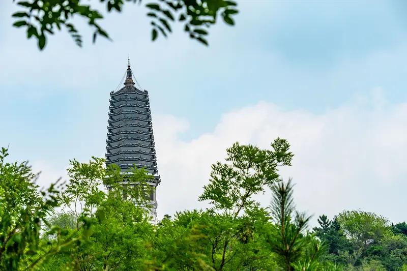 岩山会不会步入常山的后尘。近期岩山科技一直在8元以下横盘整理，死气沉沉一点都