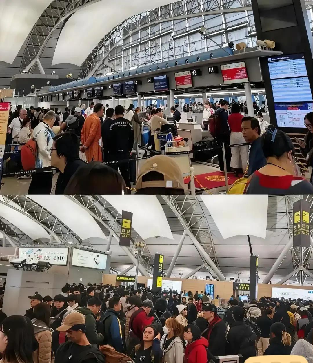 这就是不听劝的下场啊！当初多少人苦口婆心说现在别去日本，一堆麻烦事等着，可有些人