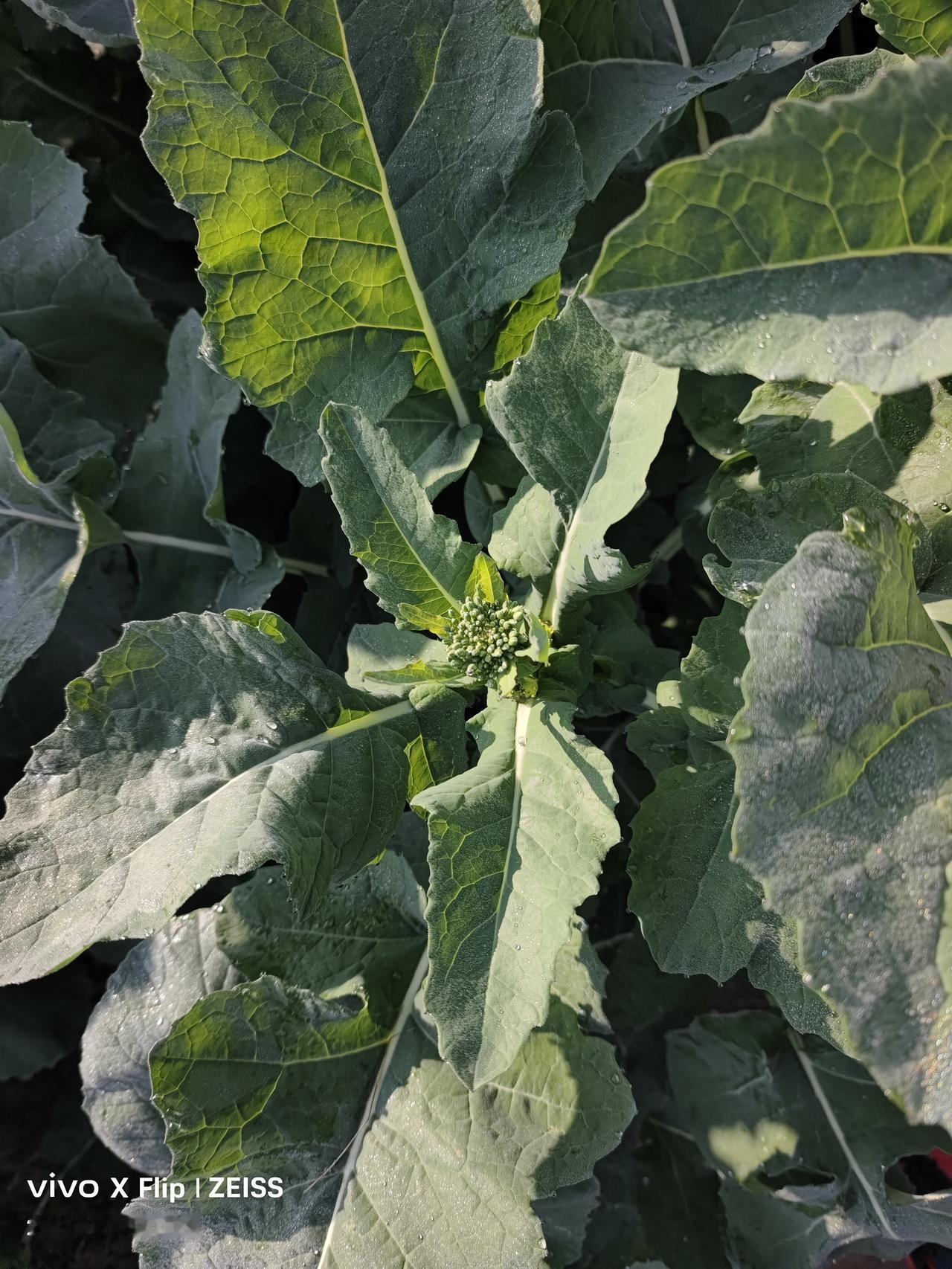 今天马年开市第二天，今年我想空仓的板块：1.光伏现在的光伏行业处