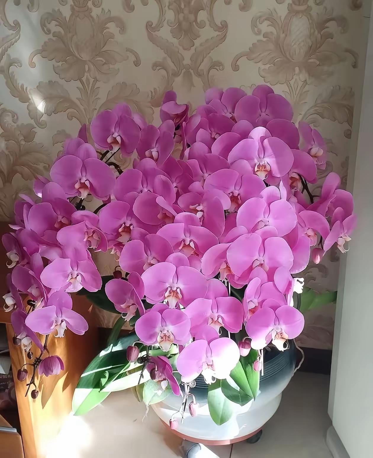 我很喜欢我儿媳妇！自打她嫁到我家，就给我家带来了无尽的欢乐，她性格开朗又，爱