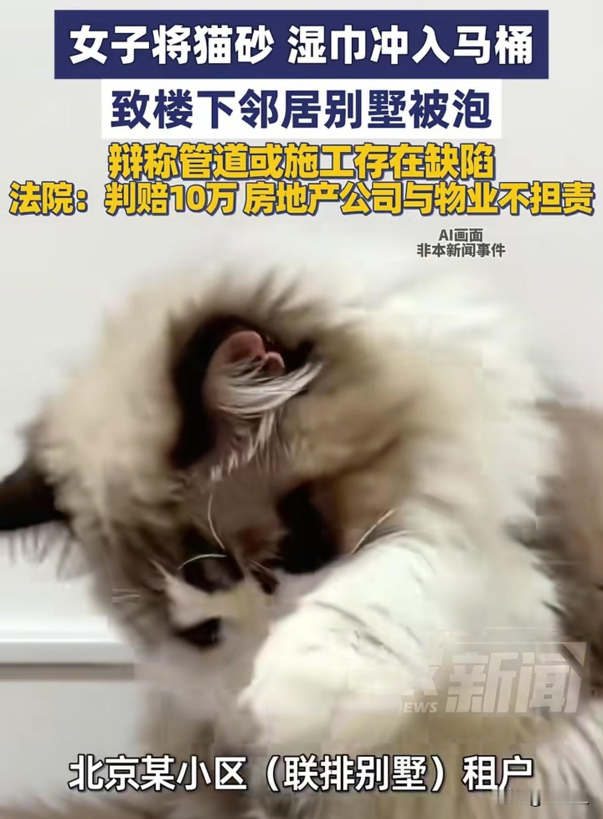 “说好的公德心呢？”北京，女子发现自己刚装修好的卫生间突然反水，把家里的木地板和