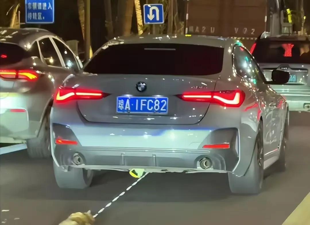 海南宝马虐猫案已经告破，宝马车根本就没有责任。猫是带着绳子自己跑出来的，跑到路上