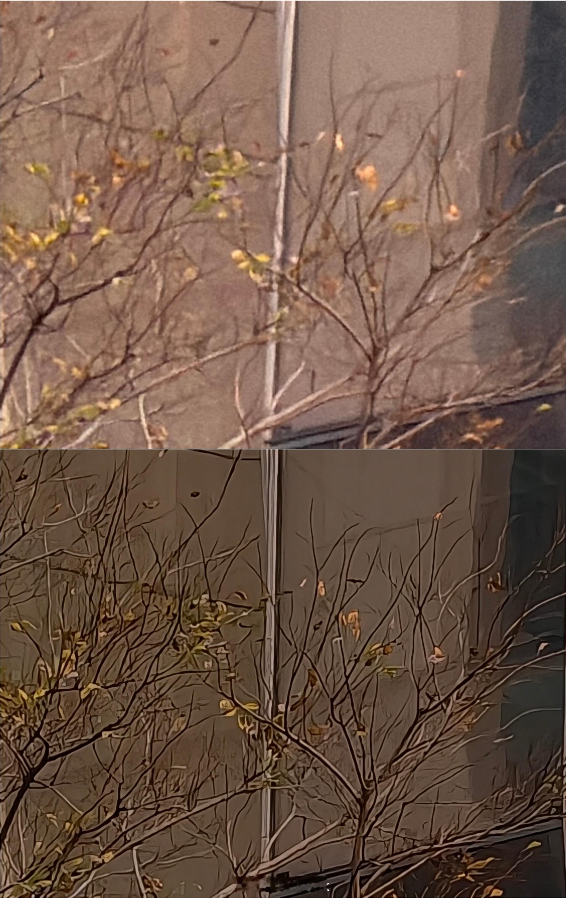 安卓机的2亿长焦，真的比iPhone强很多吗？