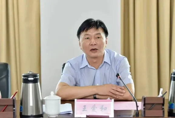 王爱和被查