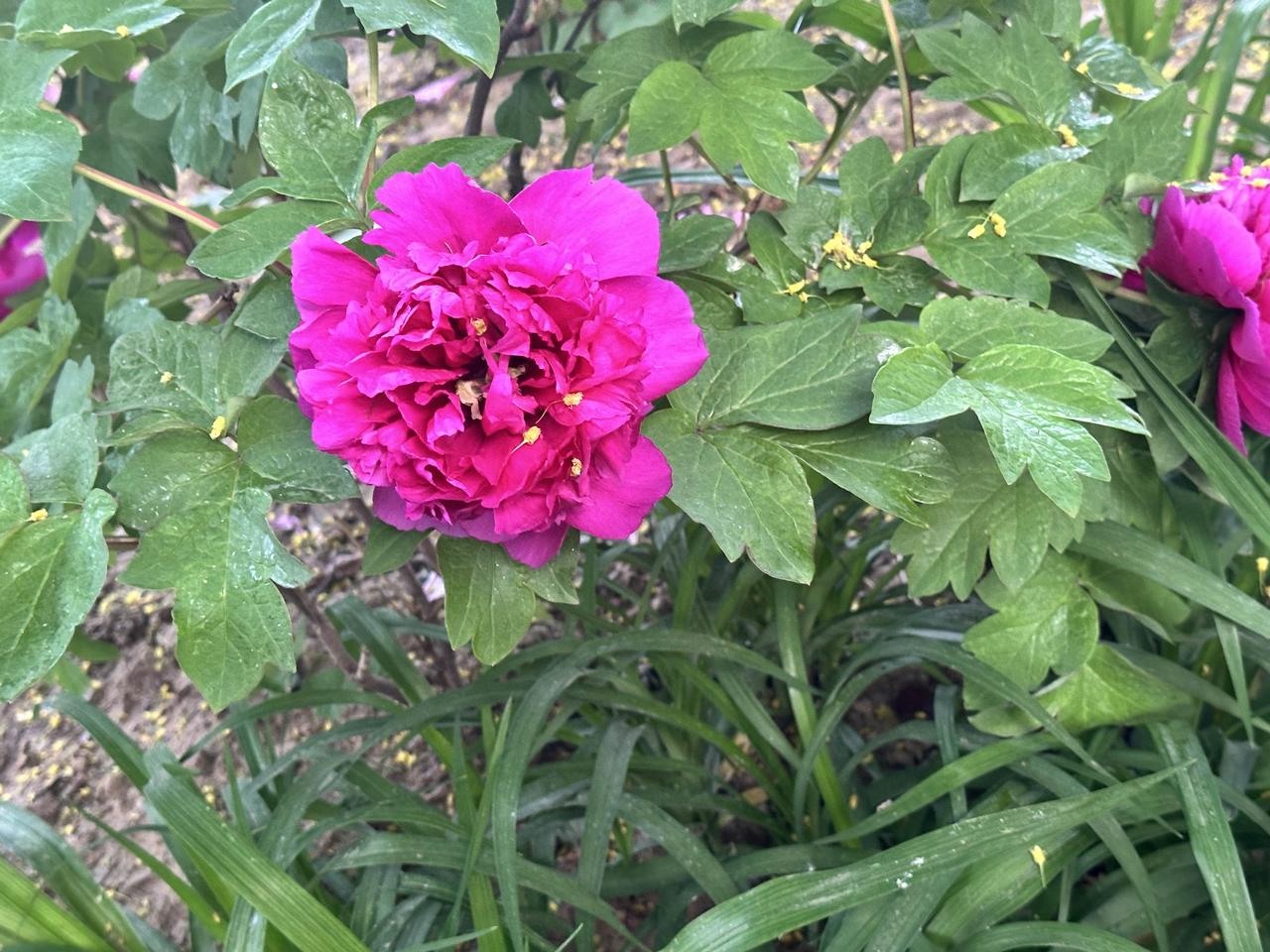 有个朋友曾找我借了一万块钱，我借给他后，一年后他还钱时说要给我利息，我没要，还开