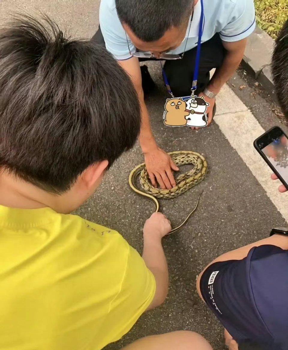 王楚钦在路边摸蛇这蛇有毒的吗？王楚钦真的好大胆，好多人看到蛇都怕。王楚钦​​