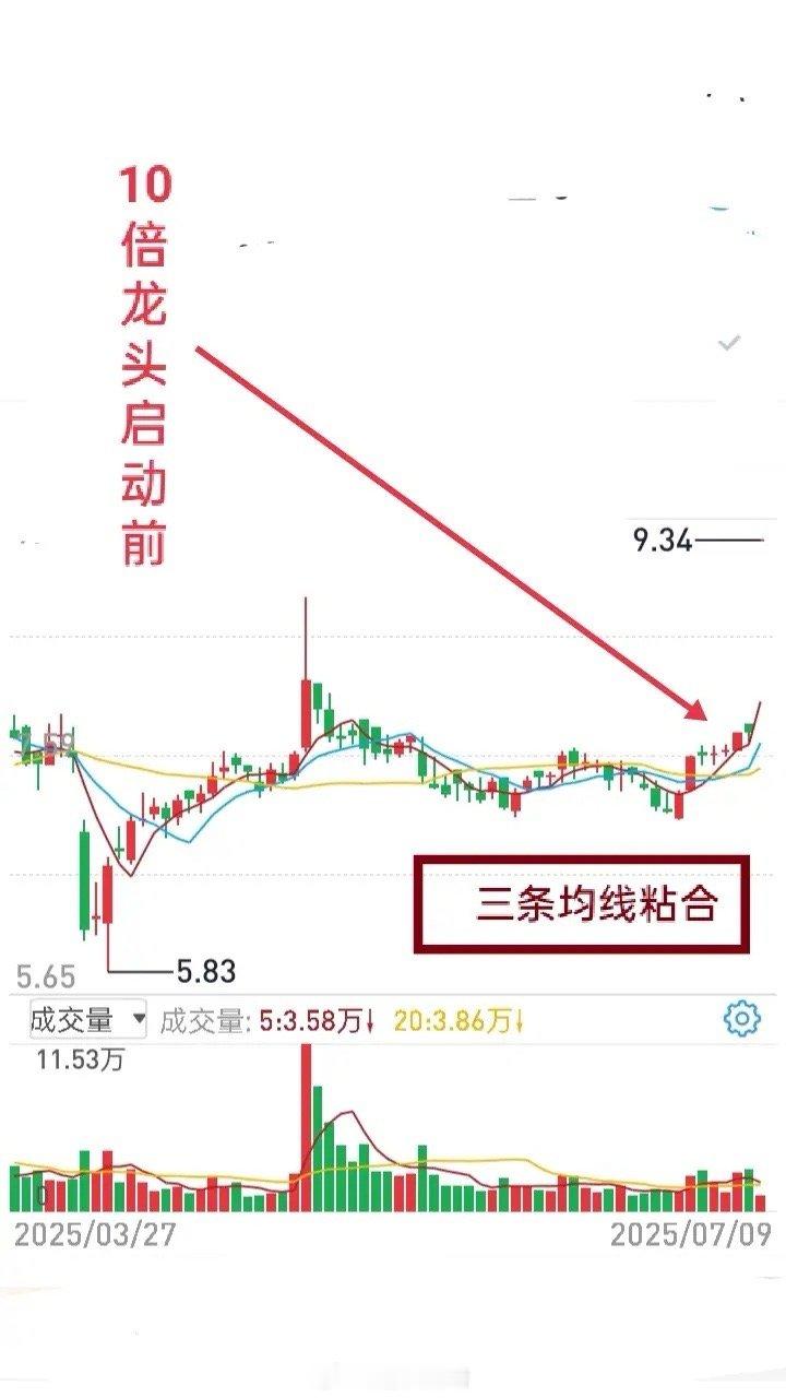 2025年龙头回顾（七）一只曾在2015年7月以一字板启动、最终走出10倍行情的