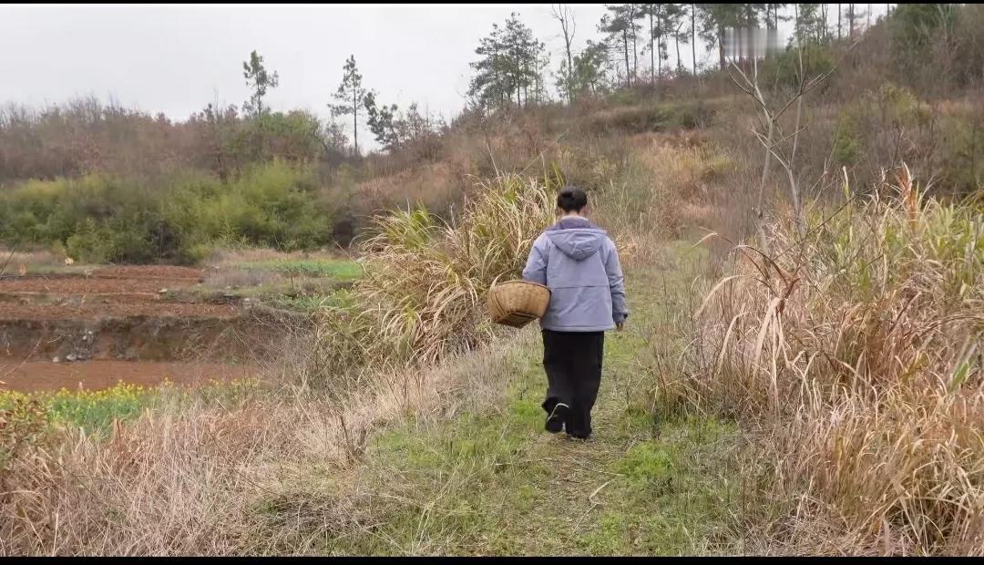 在抖音上看到一句话：如果不知道该怎么活时，可以多去山里走走所谓动则开运，而山
