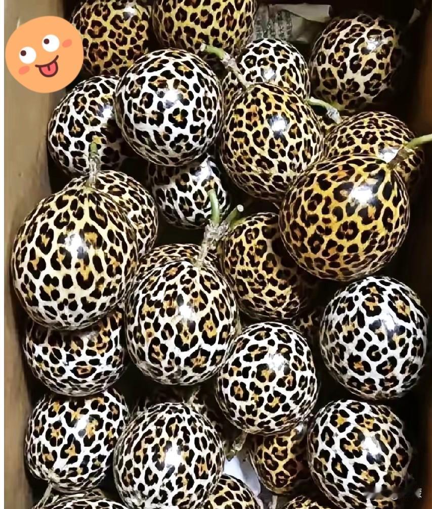 我滴个乖乖！快递箱一打开，我差点魂儿都飞了！嫁到山里的老同学说寄点特产水果，