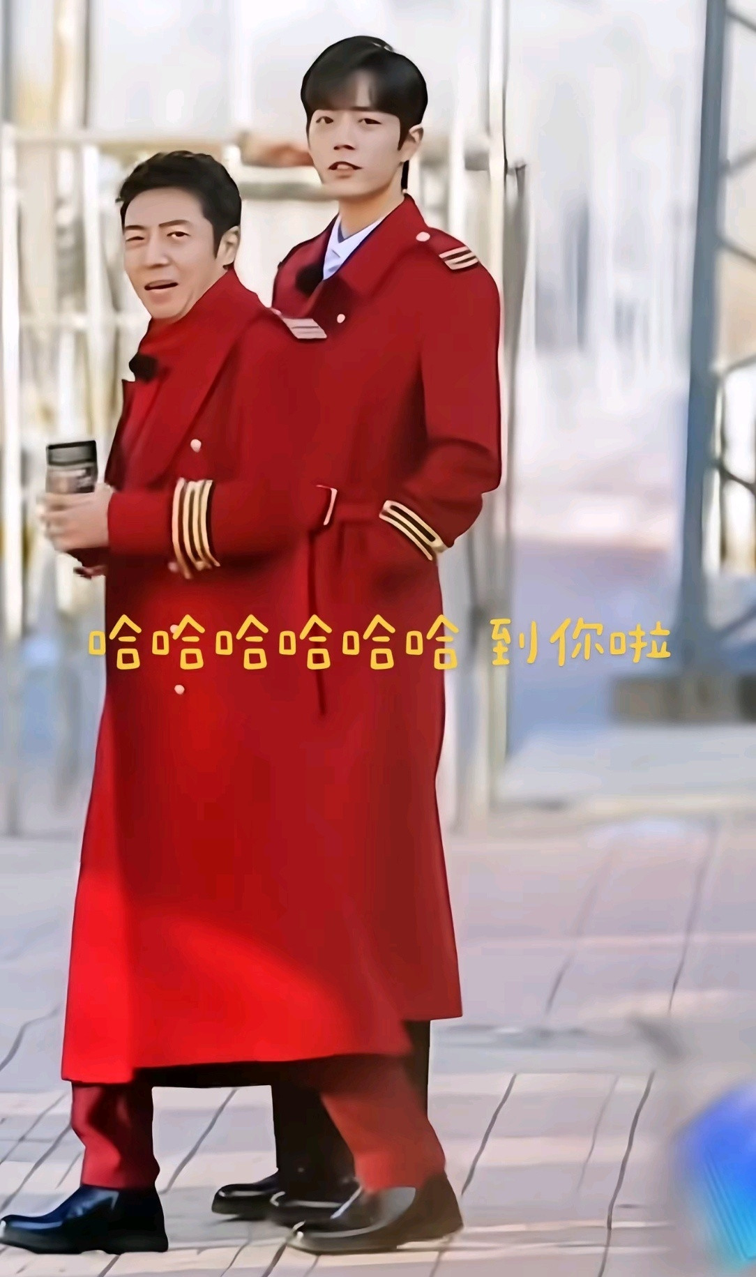 哈哈哈，巨兔也有这么娇小的时候。撒贝宁：你也有今天😂