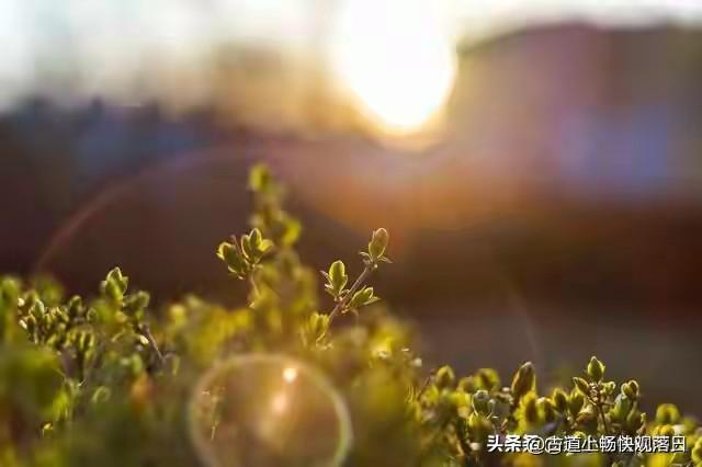 高利贷真有那么可怕么高利贷很可怕的，普通人没有钱才去货款，利率10%已经很高了，