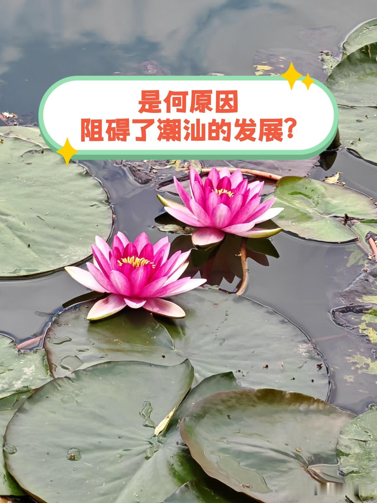 潮汕地区对外交通，特别是与粤港澳大湾区的交通，已得到根本性改善，可为何汕潮揭三市