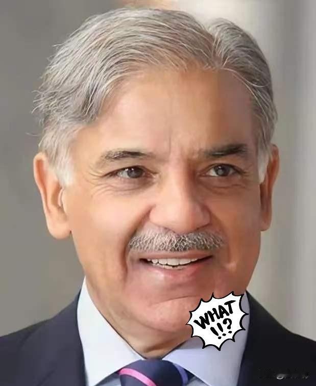 巴基斯坦传来消息，4月21日，巴基斯坦副总理兼外长达尔紧急会见美国驻巴临时代