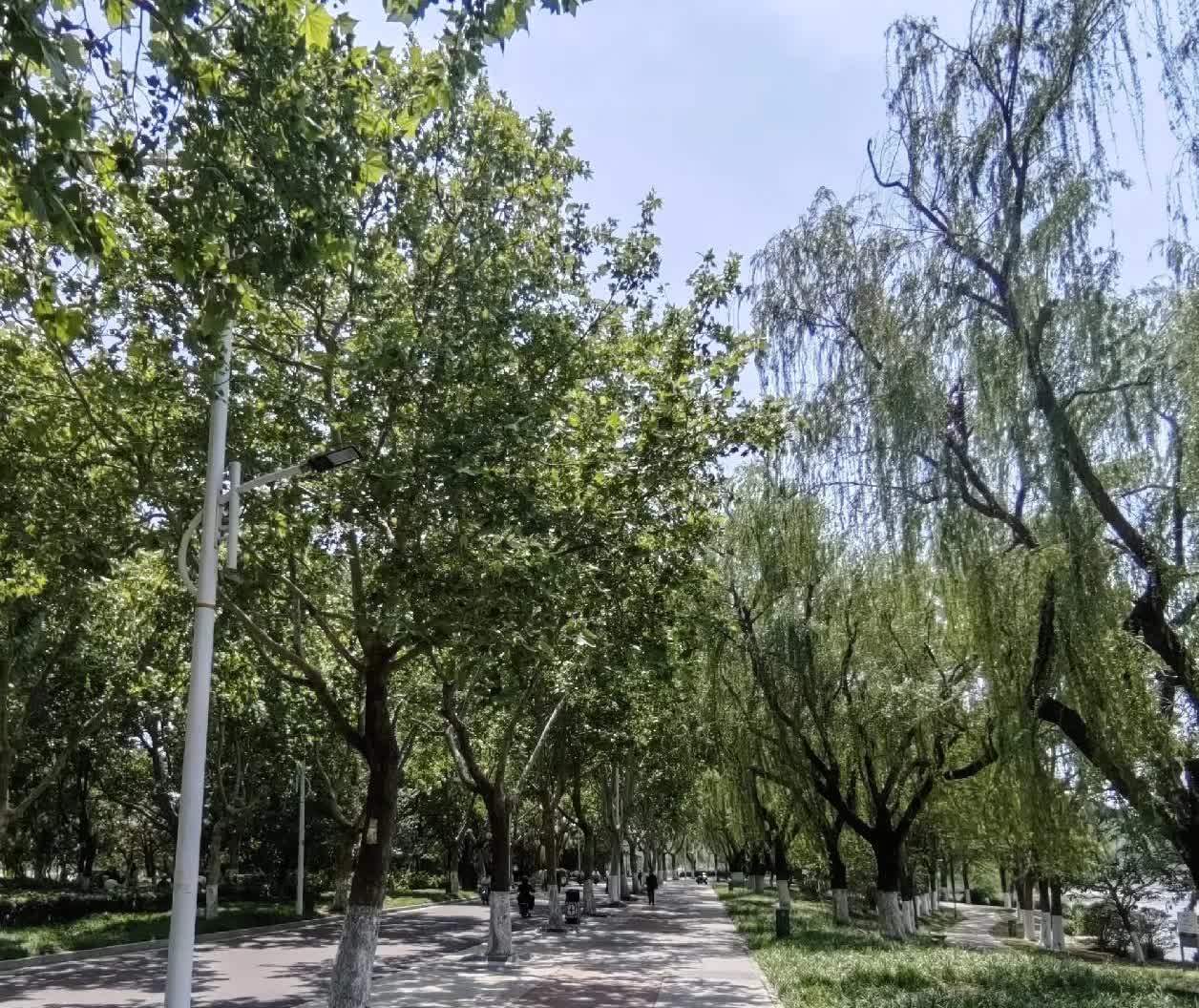今天学科目二倒车入库，差点把我整崩溃了！刚摸到方向盘没几分钟，教练就开