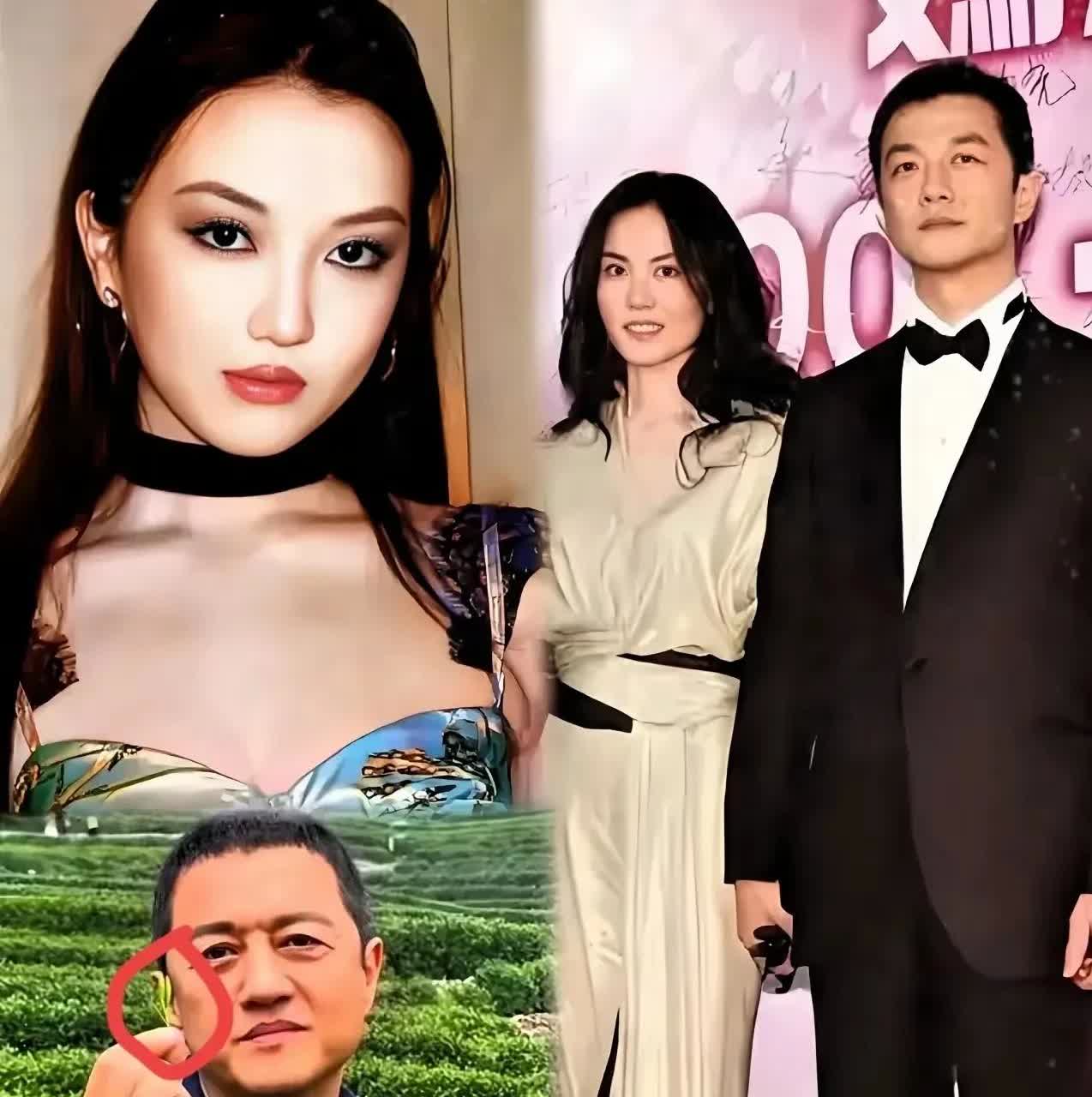 不知道王菲心里作何想法她万万没想到李嫣发文了！李嫣在社交平台发文，呼吁大家别