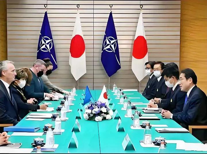 先不说日本怎么样，这次北约这么多国来日本，说明日本有东西是他们感兴趣的，明眼人都