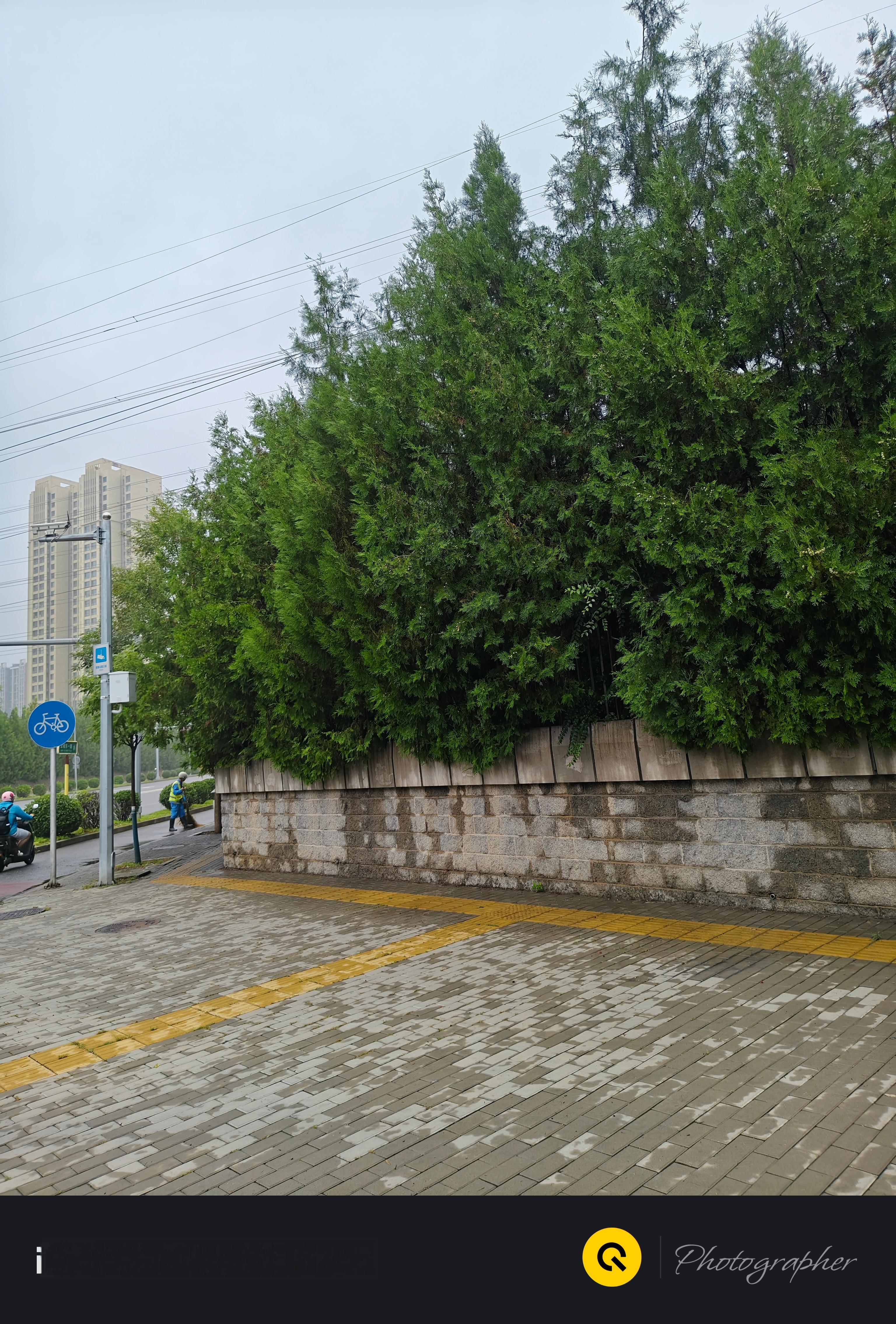 路面都是湿的​​​