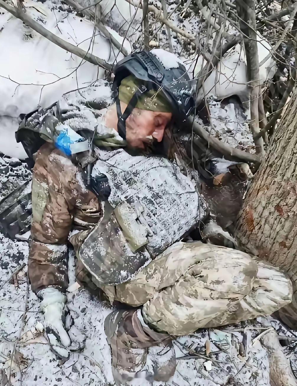 不要再打战争了，可怜可怜前线的战士们吧。他们为了祖国吃尽了苦头，后方人却不懂得来