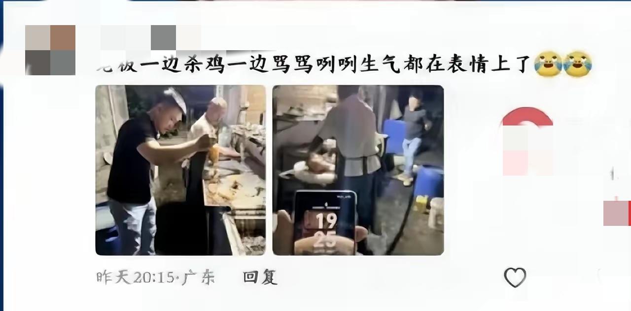 一夜爆火！这泼天的富贵，真是想躲都躲不掉啊！广东这家“莫氏鸡煲”小饭店，本