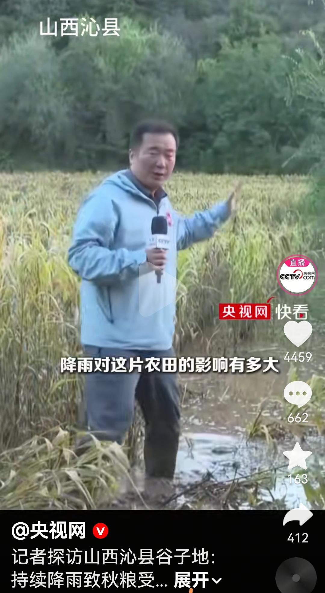 山西这次下雨对秋庄稼影响也这么大根据央视报道说，记者去了山西沁县一块谷子地，里