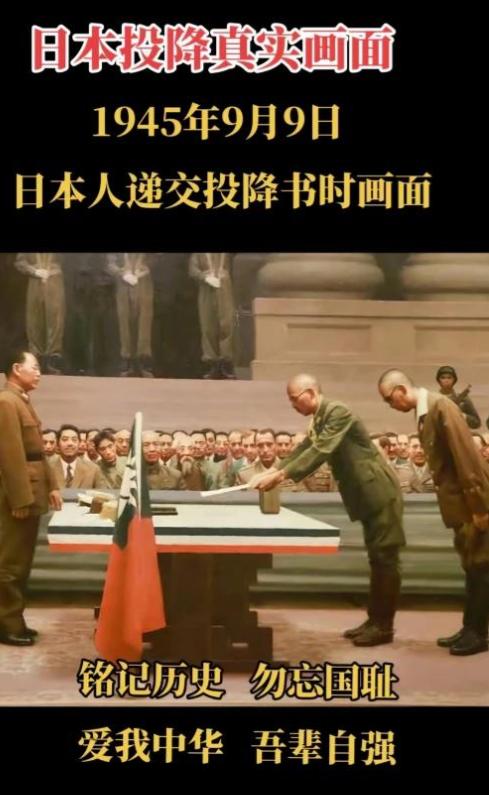 发生7.7级地震，没有国家援助，高市早苗现在终于尝到了拜鬼的恶果，当她给靖国神社