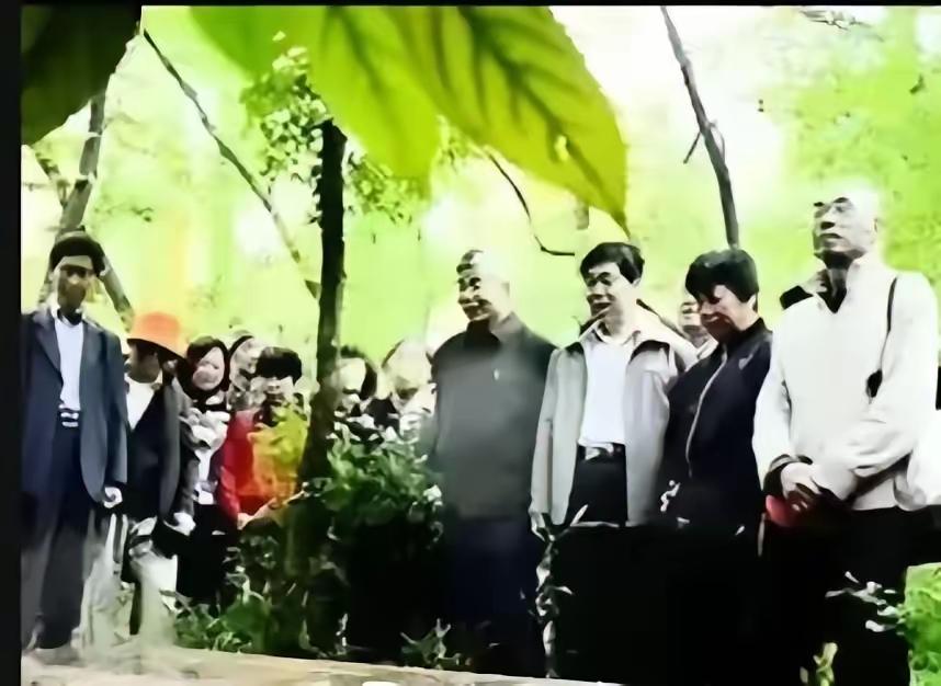 1998年，戴笠的四位孙子、孙女特意来到南京中山陵灵谷寺，想凭吊他们的爷爷。然而