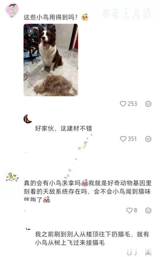 猫毛泛滥太烦人，终于解锁省心除毛小妙招。